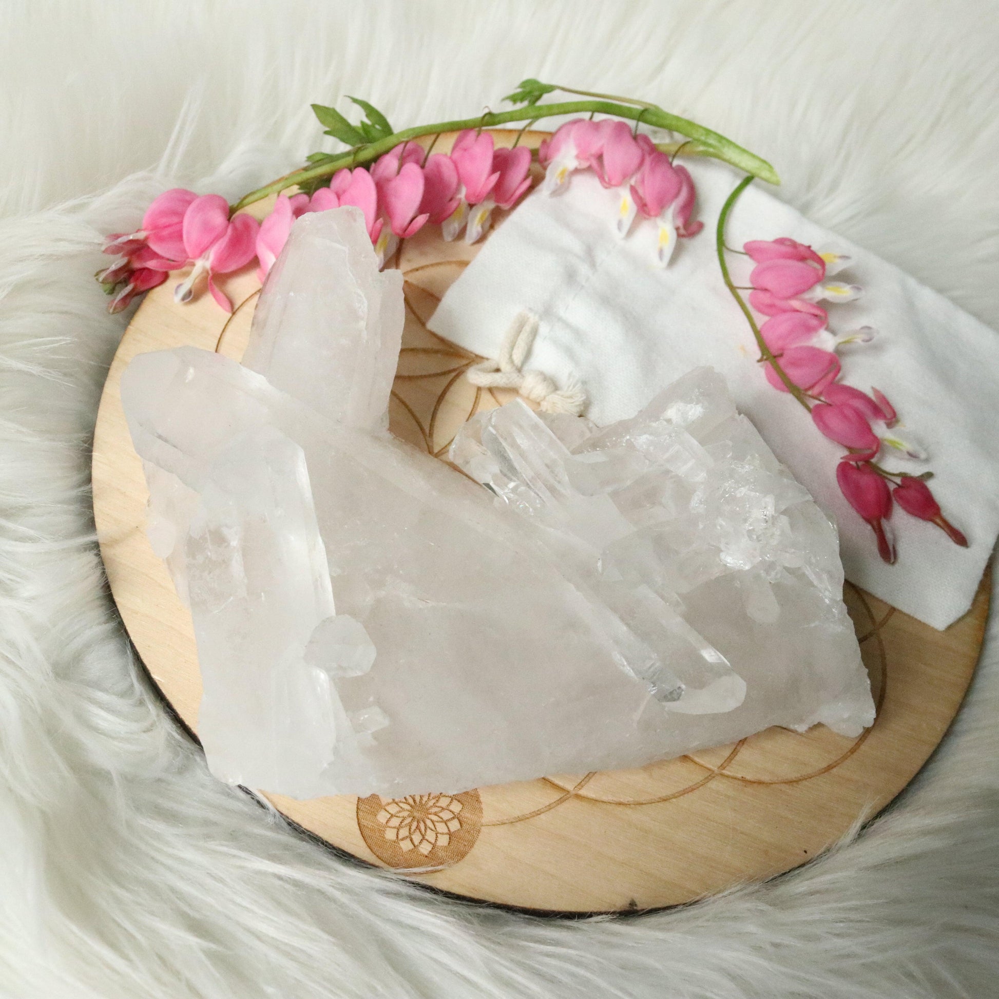 Large Tabby Clear Quartz Cluster Grade A from Brazil~ - Earth Family Crystals