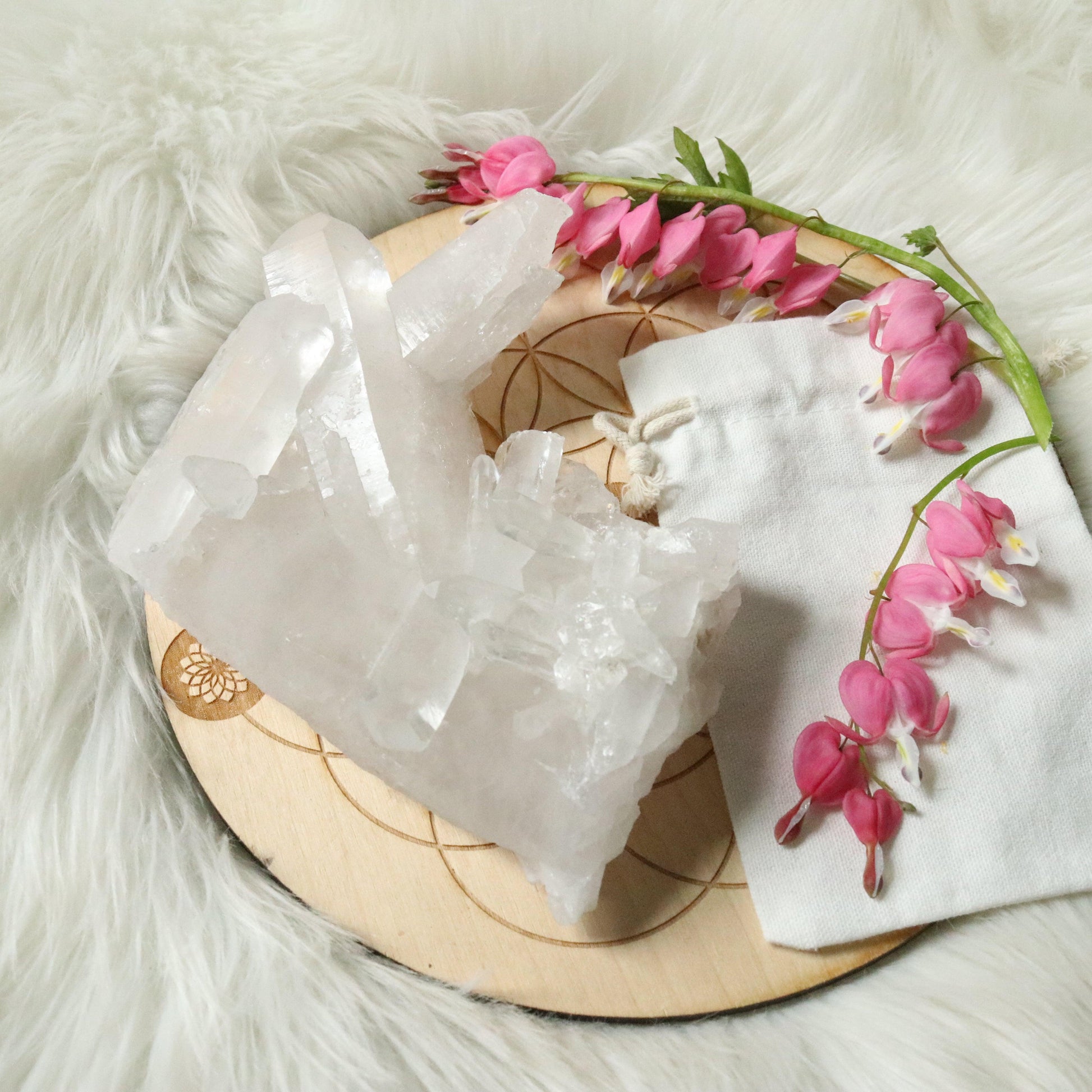 Large Tabby Clear Quartz Cluster Grade A from Brazil~ - Earth Family Crystals