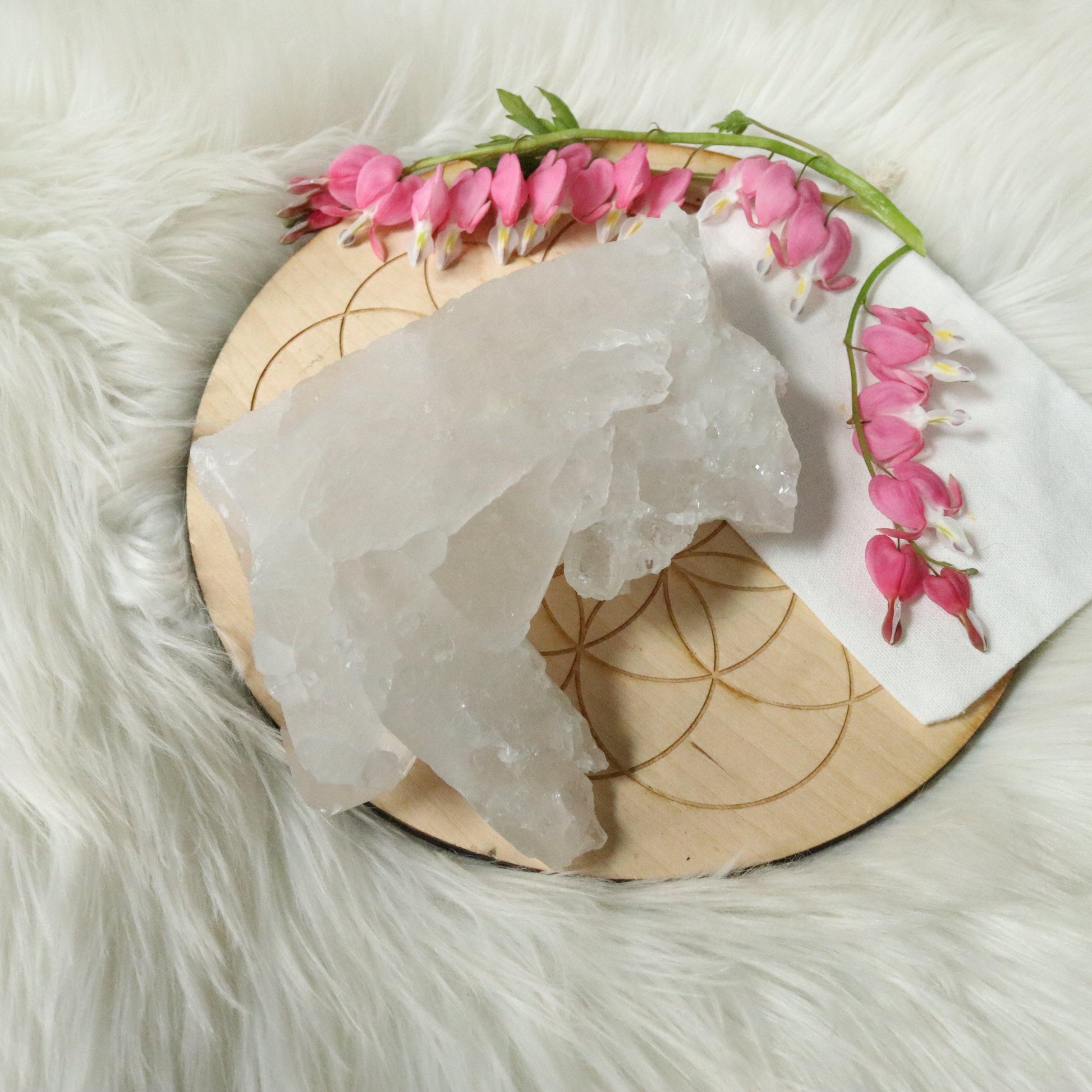 Large Tabby Clear Quartz Cluster Grade A from Brazil~ - Earth Family Crystals