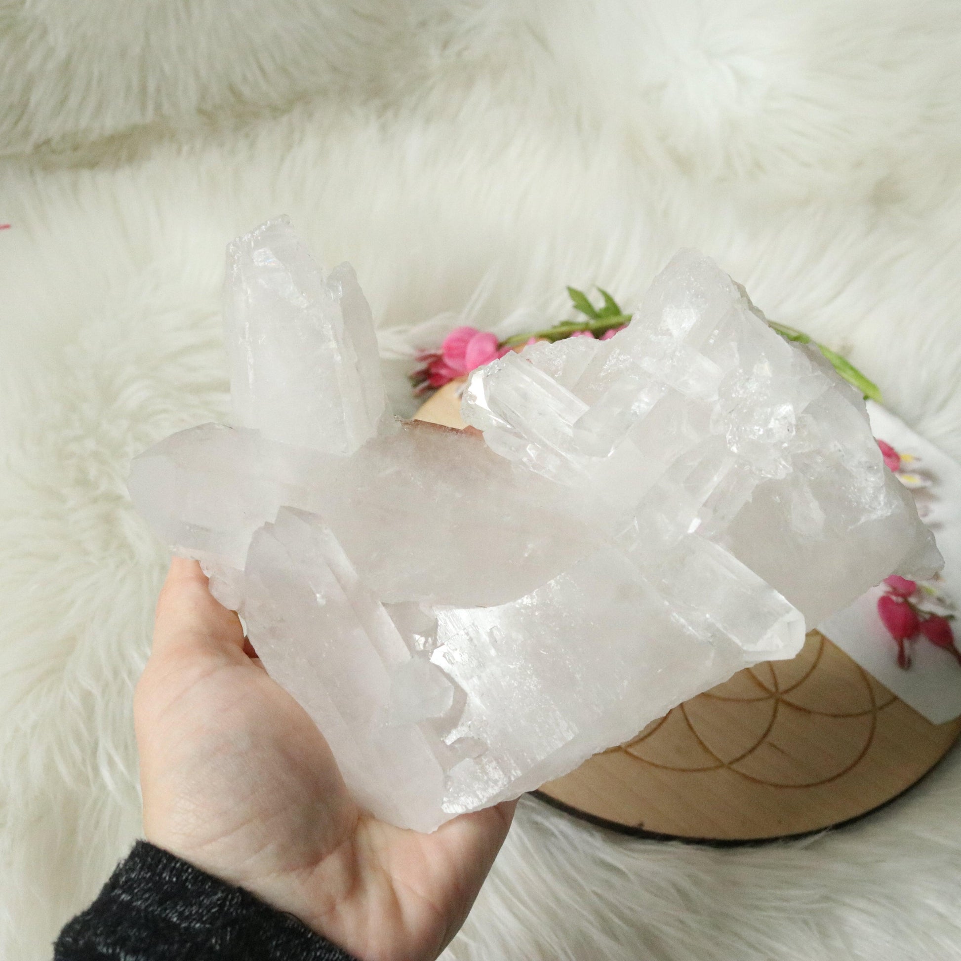 Large Tabby Clear Quartz Cluster Grade A from Brazil~ - Earth Family Crystals