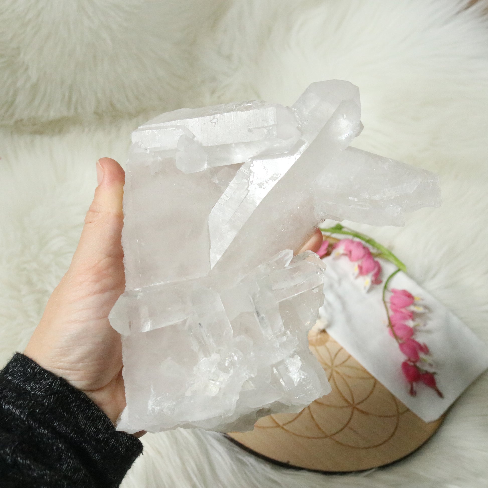 Large Tabby Clear Quartz Cluster Grade A from Brazil~ - Earth Family Crystals