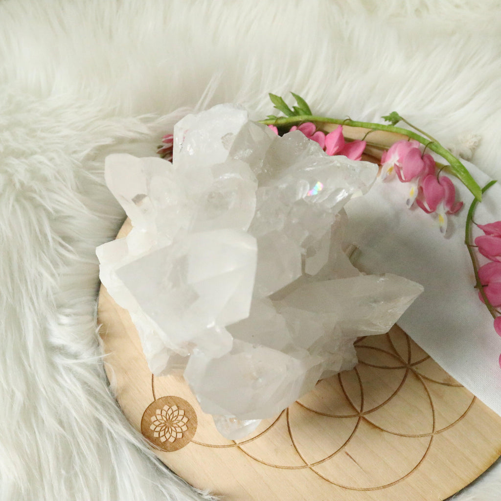 BIG Clear Quartz Cluster Grade A from Brazil~ With Rainbows! - Earth Family Crystals