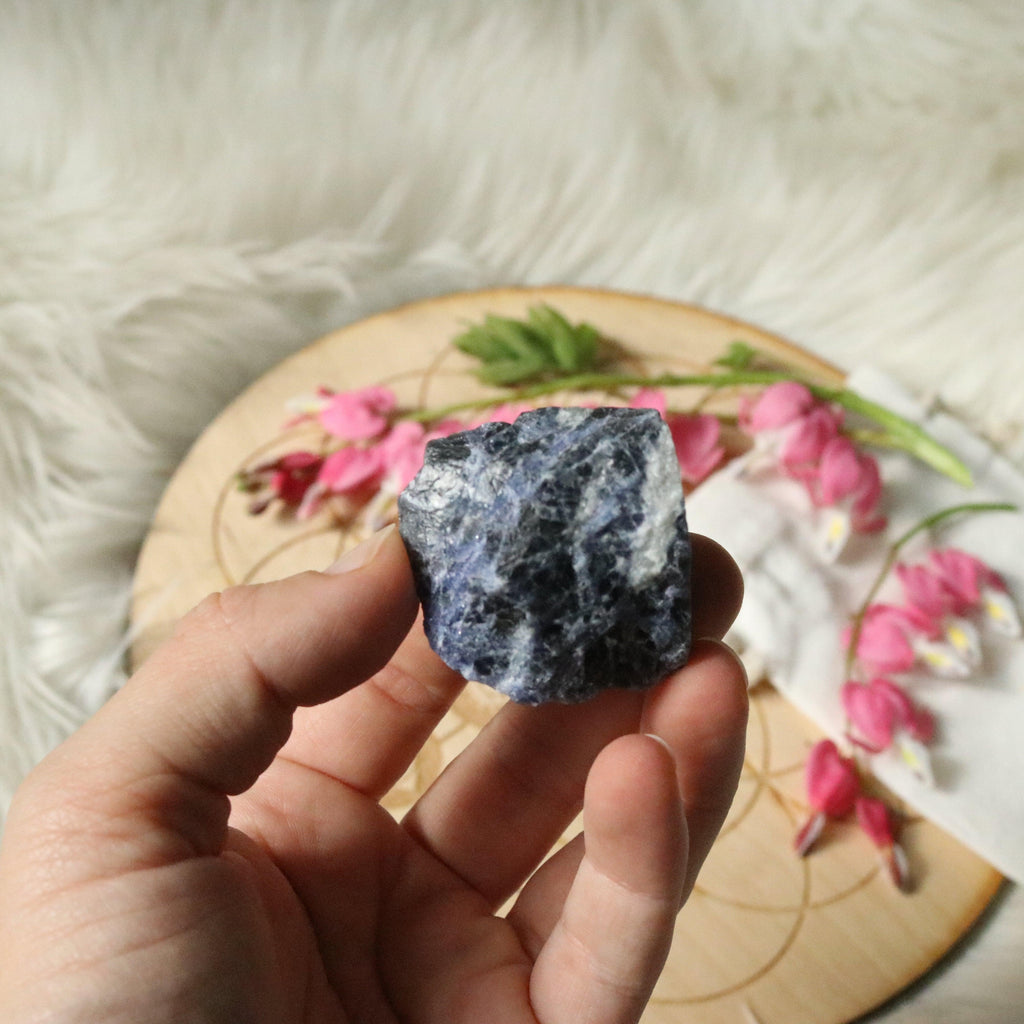 Small Cute Rough Blue Sodalite Specimen ~ Throat Chakra Activations - Earth Family Crystals