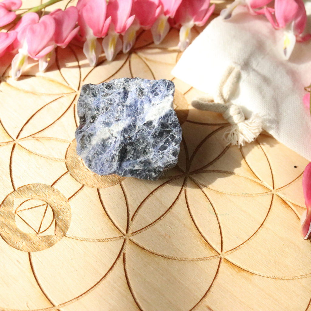 Small Cute Rough Blue Sodalite Specimen ~ Throat Chakra Activations - Earth Family Crystals