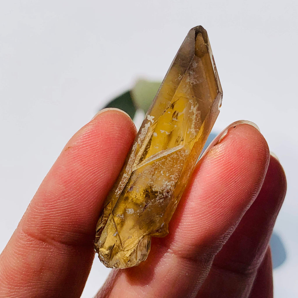 Reserved for Gina D. Natural Smoky Phantom Citrine Point From Zamibia - Earth Family Crystals