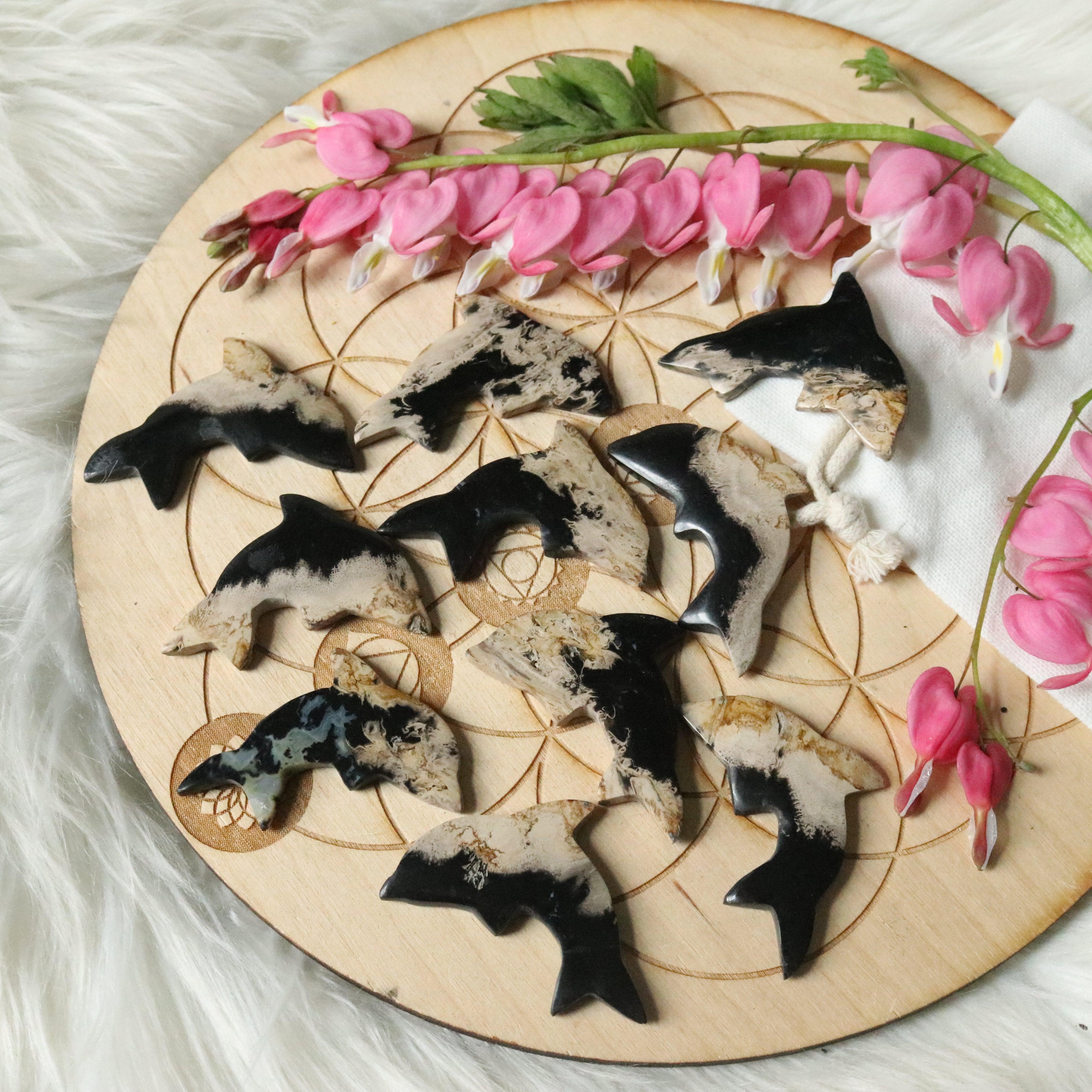 Petrified Palm Root Dolphin Carving ~ Cabochon ~ Great for Crafting - Earth Family Crystals
