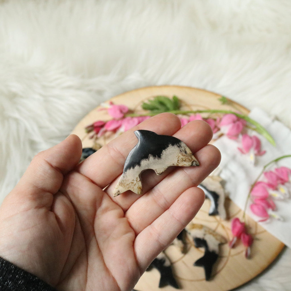 Petrified Palm Root Dolphin Carving ~ Cabochon ~ Great for Crafting - Earth Family Crystals
