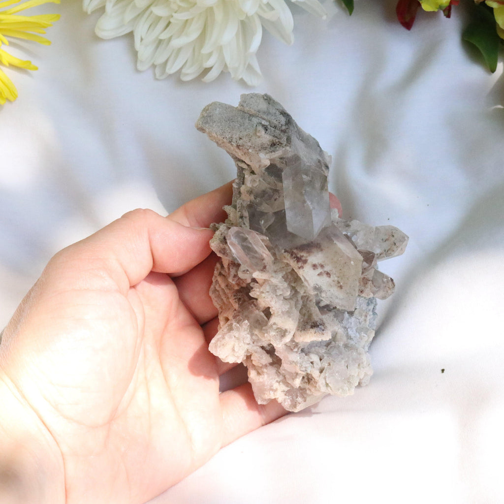 Inclusion Quartz Cluster from Brazil ~ Healing and Energetic - Earth Family Crystals
