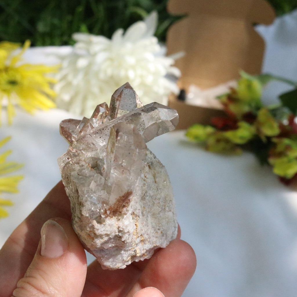 Quartz Cluster from Brazil ~ Gemmy and Earthy Vibes - Earth Family Crystals