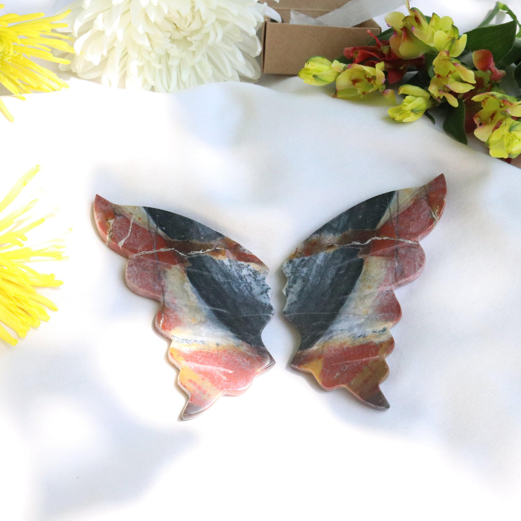 Carved Red Jasper Butterfly Wings Set from Indonesia~ Root Chakra Energy Flow - Earth Family Crystals