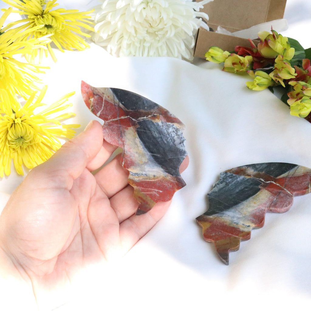 Carved Red Jasper Butterfly Wings Set from Indonesia~ Root Chakra Energy Flow - Earth Family Crystals