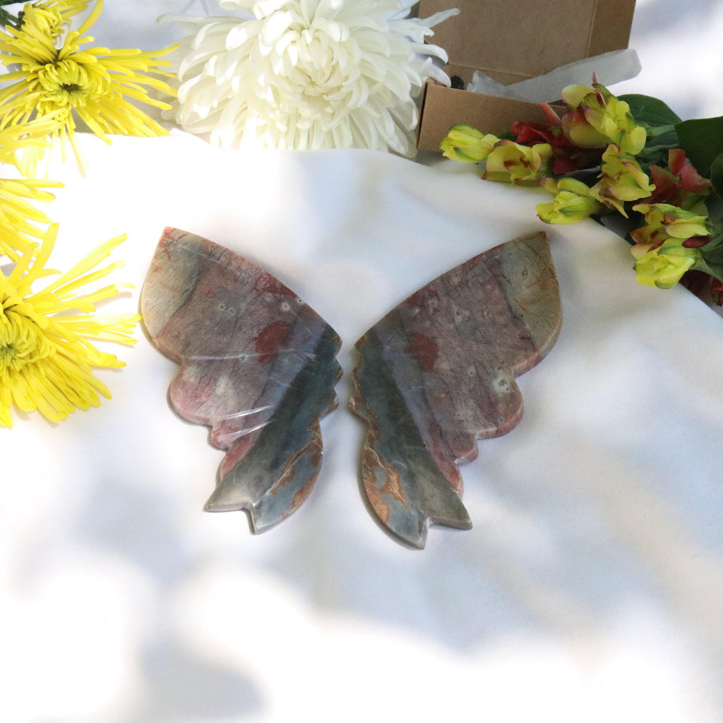 Carved Red Jasper Butterfly Wings from Indonesia~ Root Chakra Energy Flow - Earth Family Crystals
