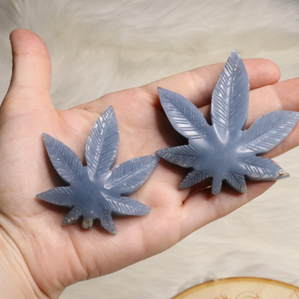 Angelite 420 Leaf Carvings ~ Earthy and Uplifitng Vibes - Earth Family Crystals