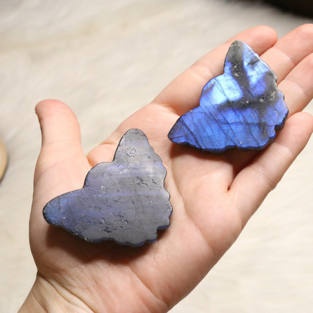 Super Blue Flash Labradorite ~ Butterfly Carvings ~ Magical - Earth Family Crystals