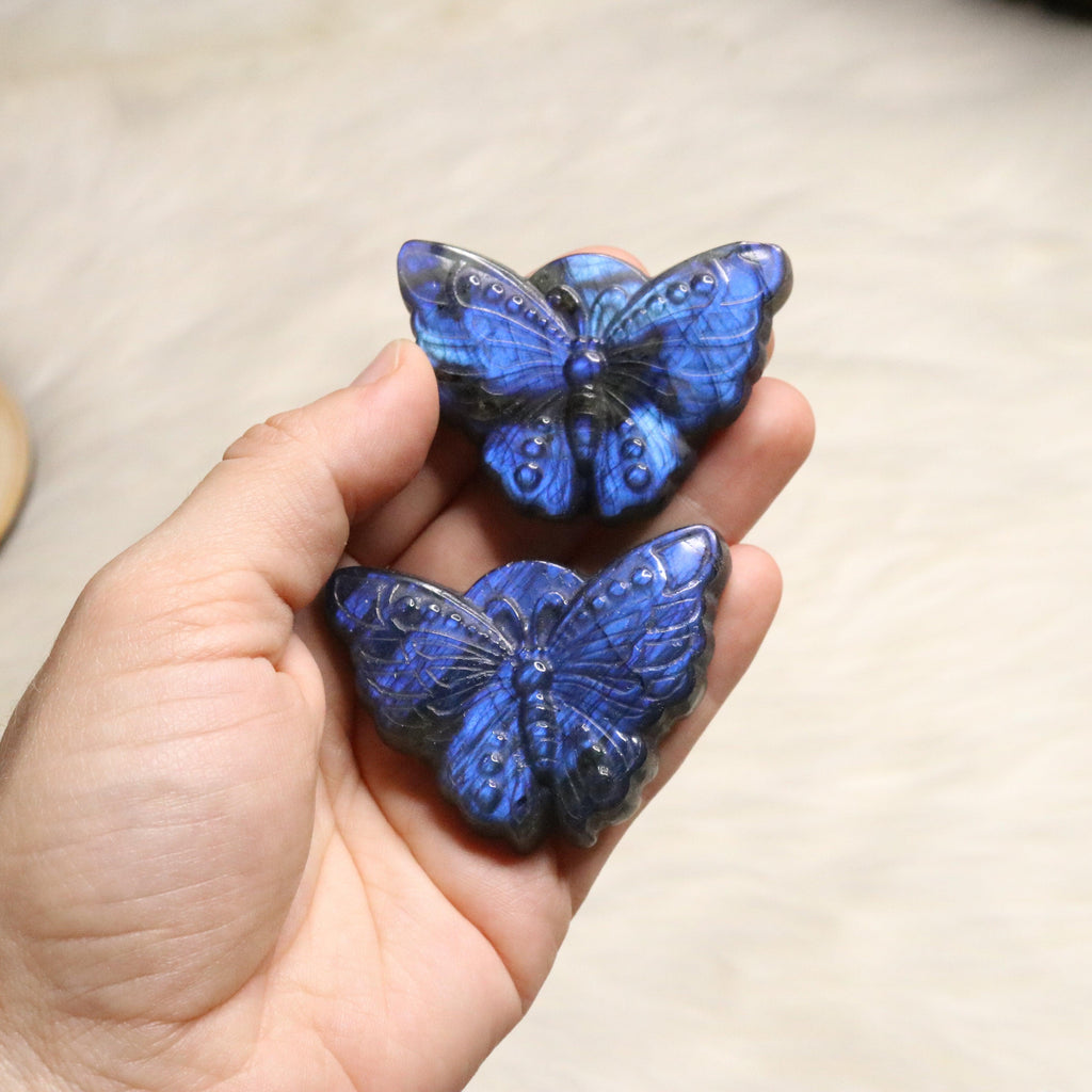 Super Blue Flash Labradorite ~ Butterfly Carvings ~ Magical - Earth Family Crystals