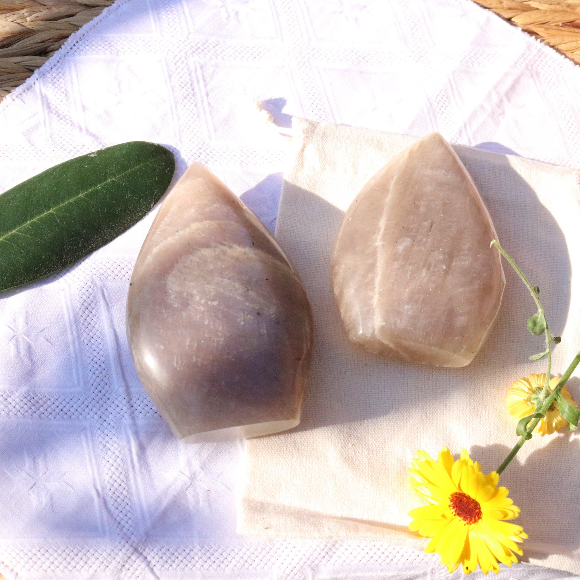Blue Moonstone Raindrop Carvings ~ Incredible Blue Flash - Earth Family Crystals