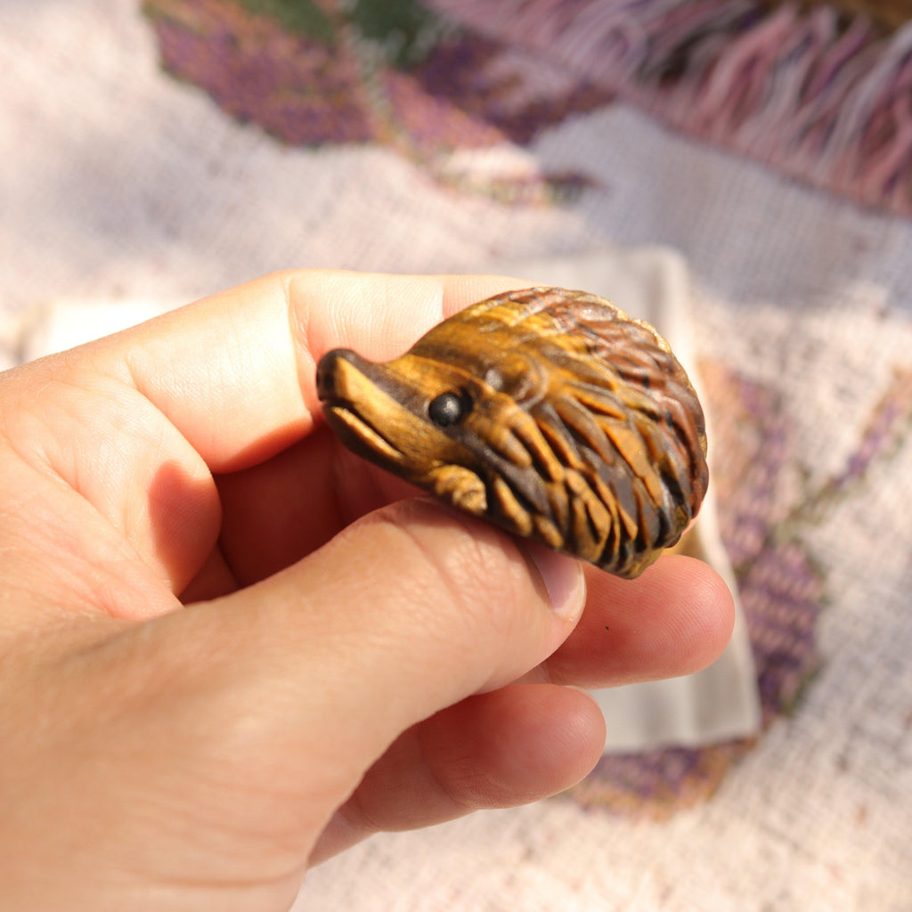 Tigers Eye Hedgehog Carving ~ Cutest Little Critter Carving - Earth Family Crystals