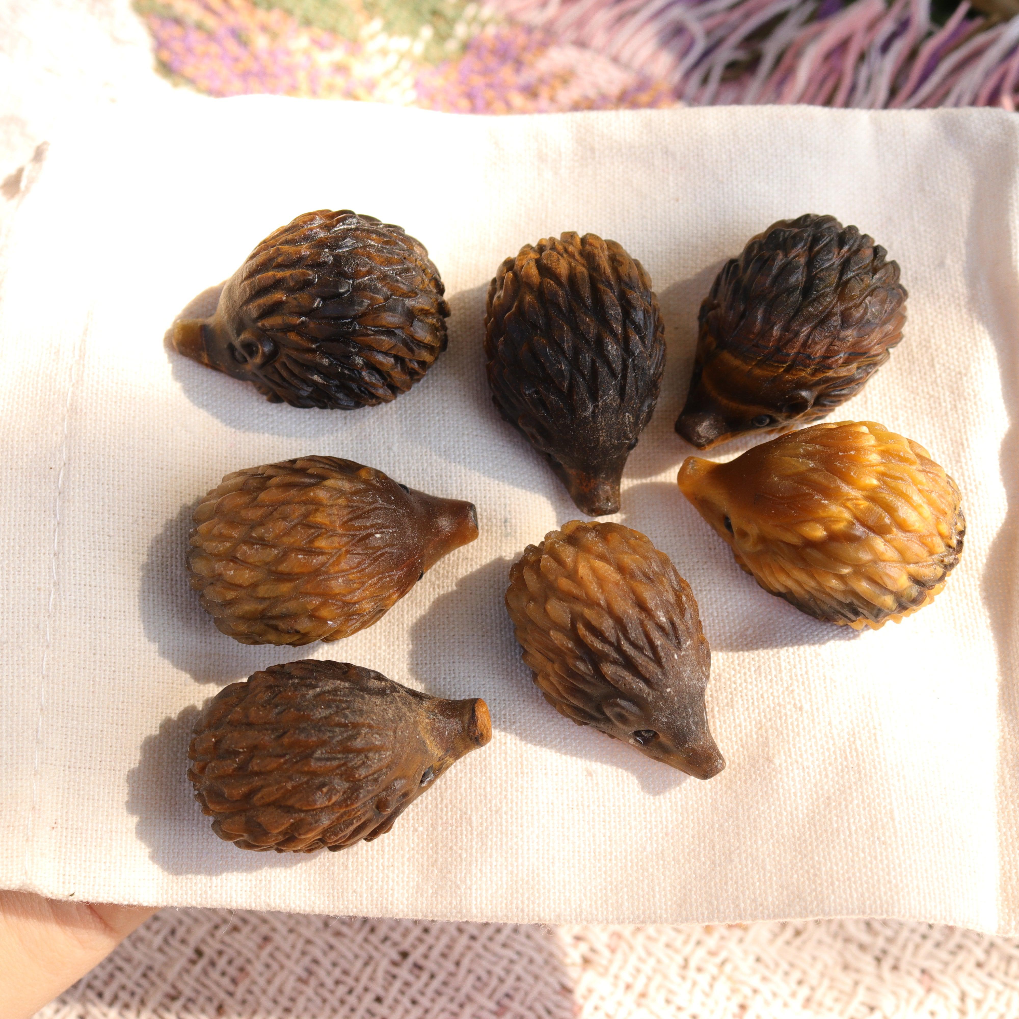 Tigers Eye Hedgehog Carving ~ Cutest Little Critter Carving - Earth Family Crystals