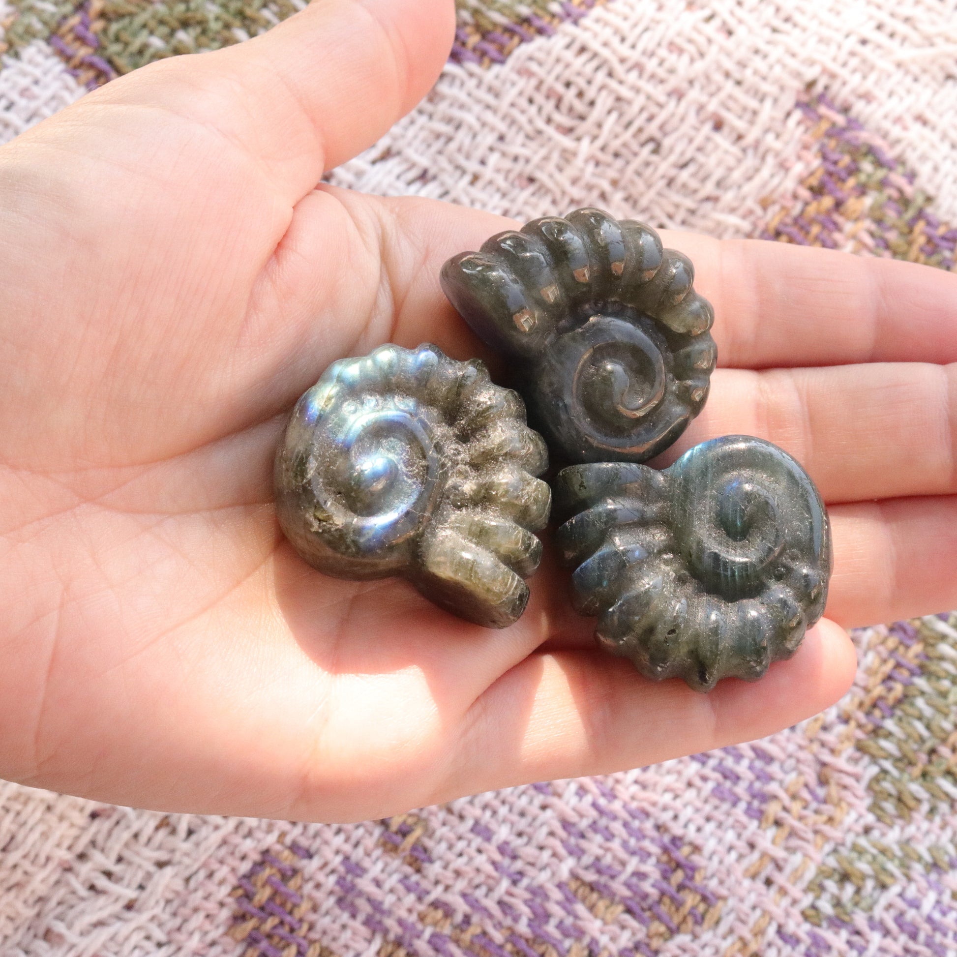 Magical and Cute Flashy Labradorite Shell Carving - Earth Family Crystals