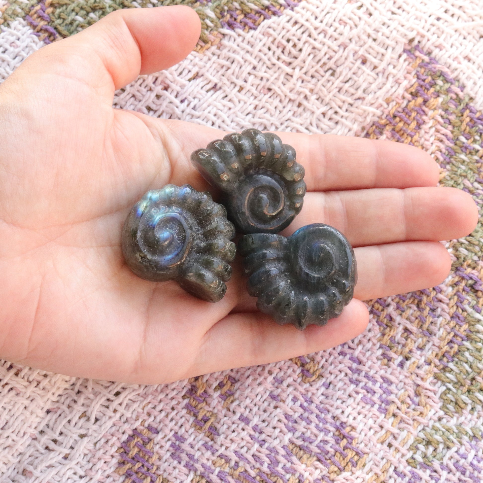 Magical and Cute Flashy Labradorite Shell Carving - Earth Family Crystals