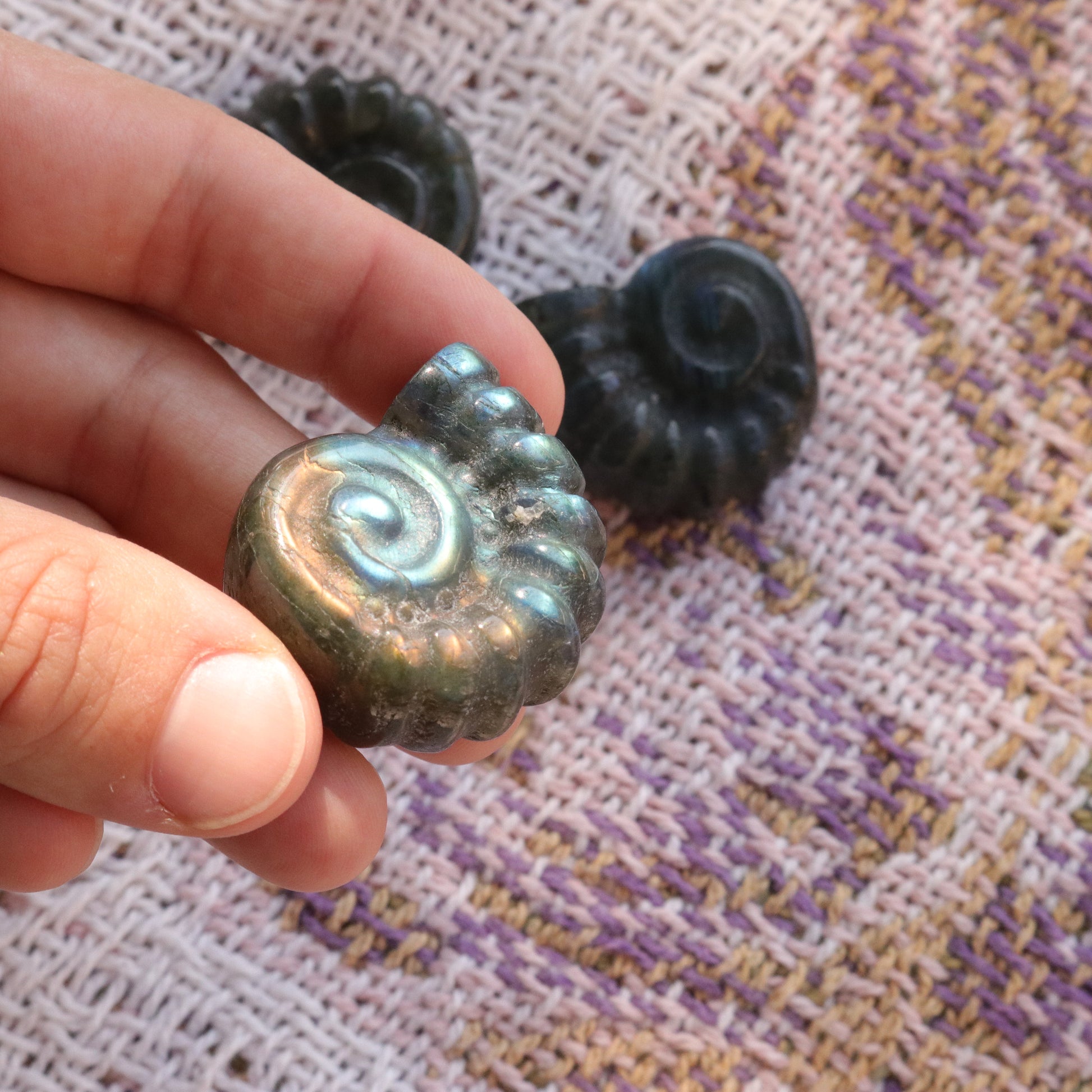 Magical and Cute Flashy Labradorite Shell Carving - Earth Family Crystals