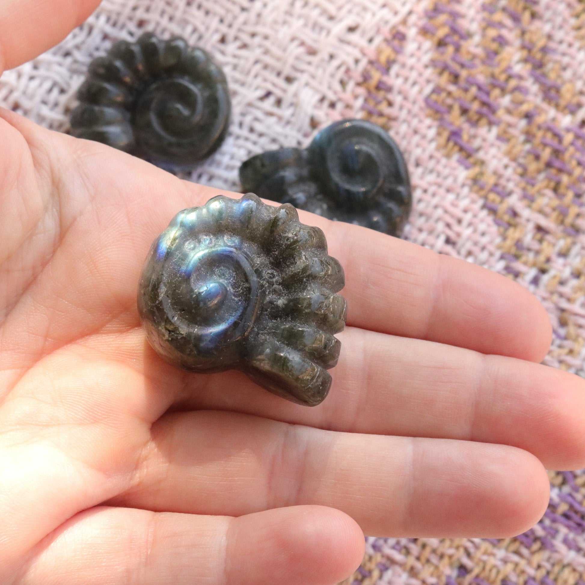 Magical and Cute Flashy Labradorite Shell Carving - Earth Family Crystals