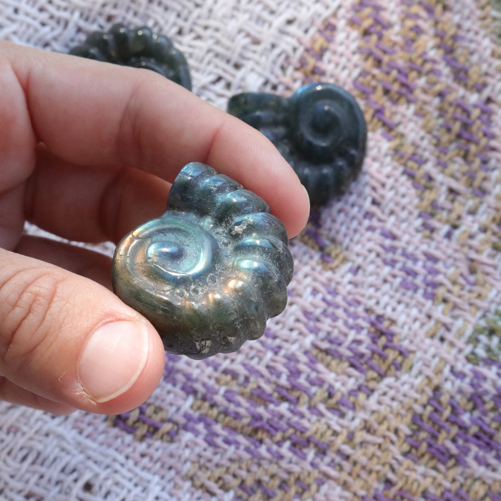 Magical and Cute Flashy Labradorite Shell Carving - Earth Family Crystals