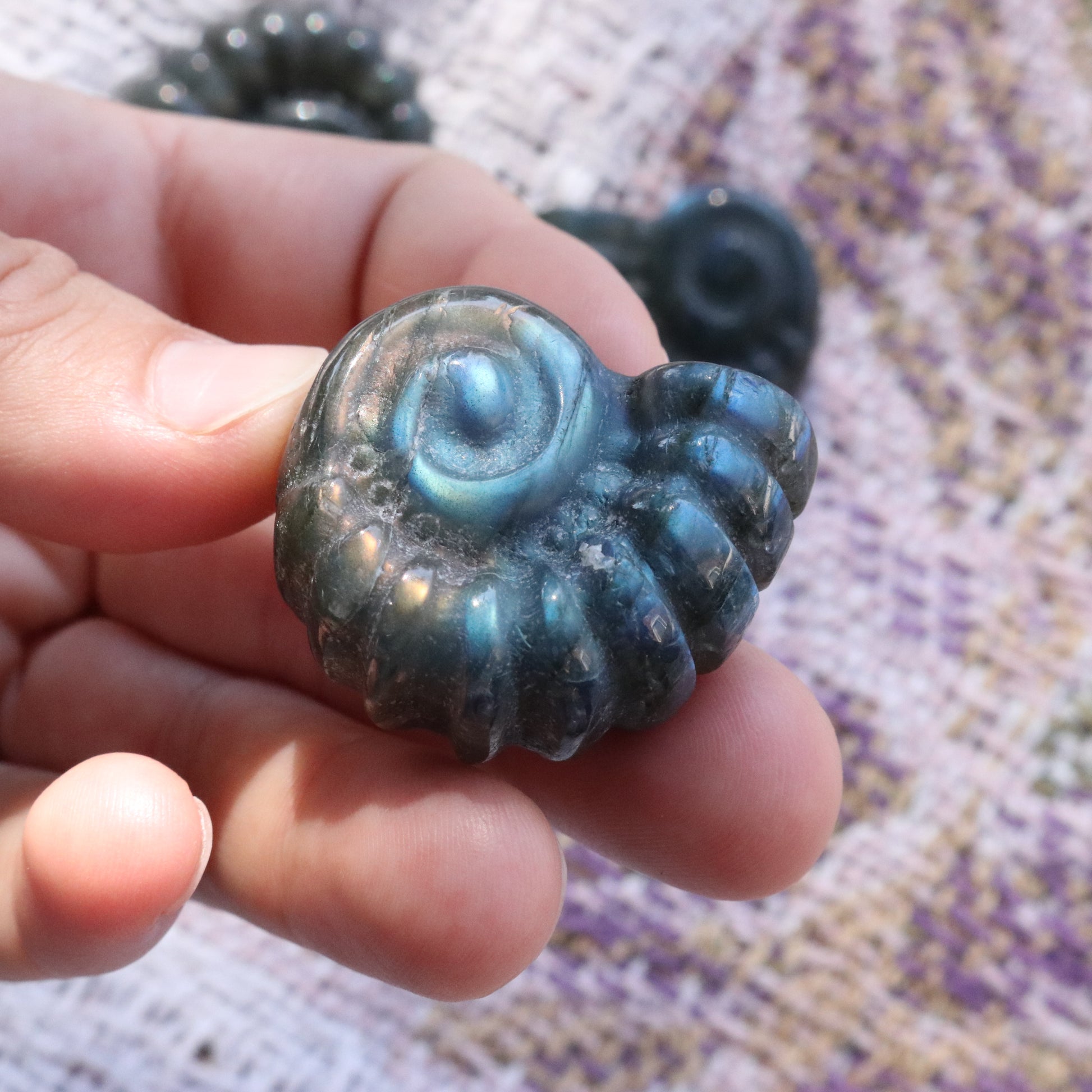 Magical and Cute Flashy Labradorite Shell Carving - Earth Family Crystals