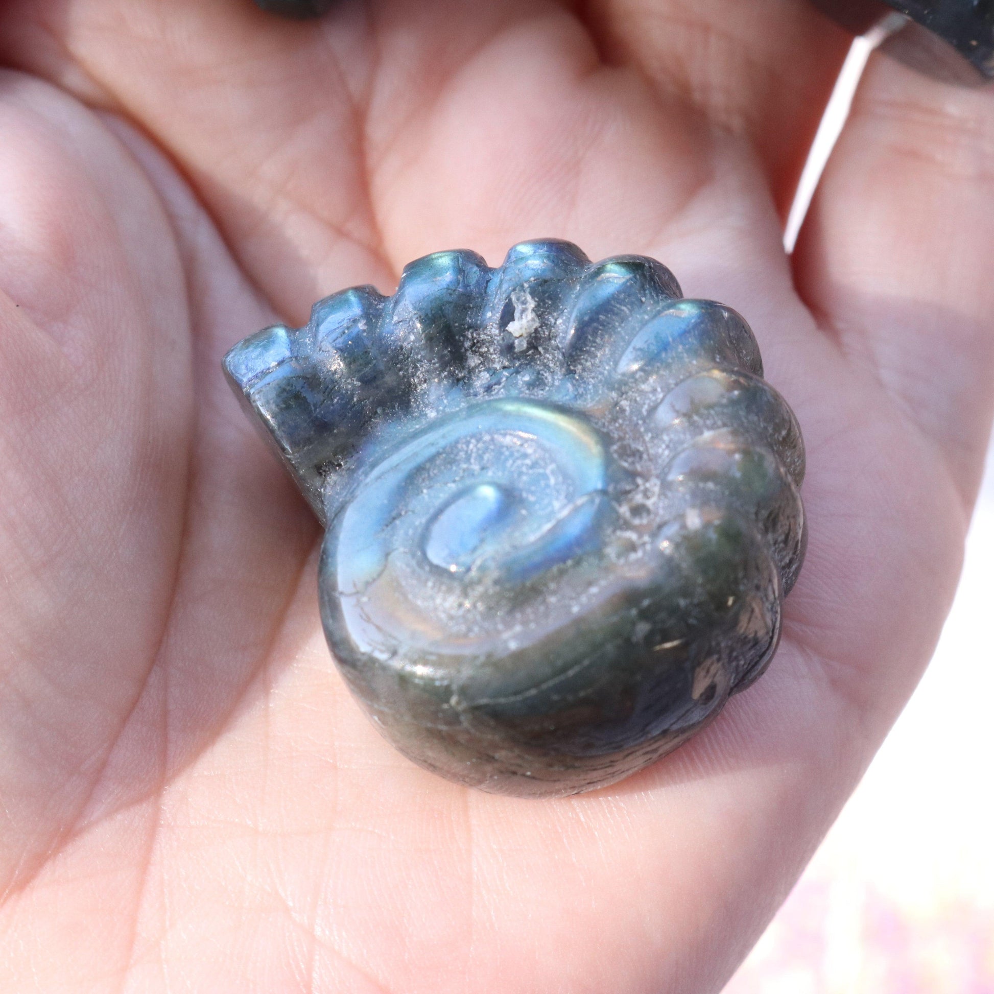 Magical and Cute Flashy Labradorite Shell Carving - Earth Family Crystals