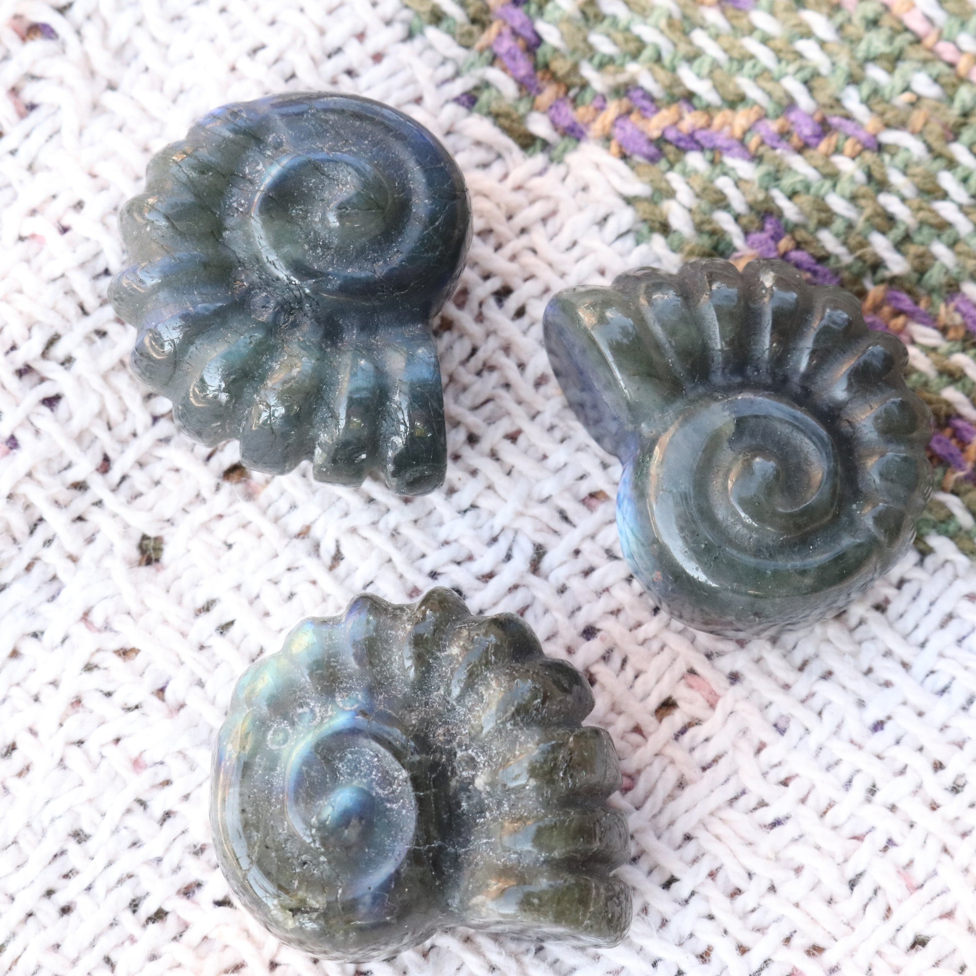 Magical and Cute Flashy Labradorite Shell Carving - Earth Family Crystals