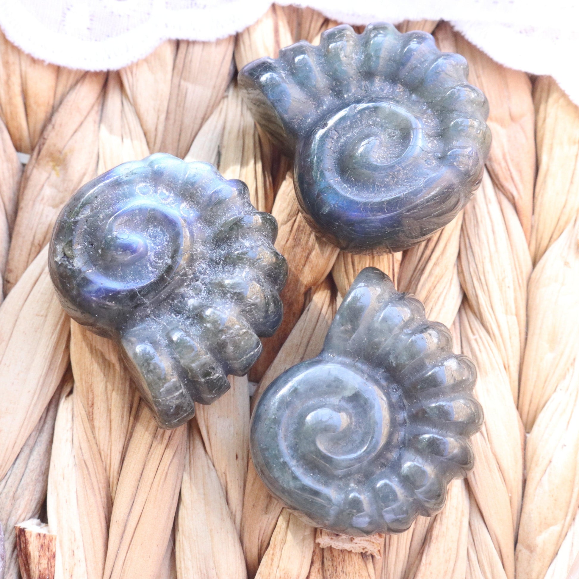 Magical and Cute Flashy Labradorite Shell Carving - Earth Family Crystals