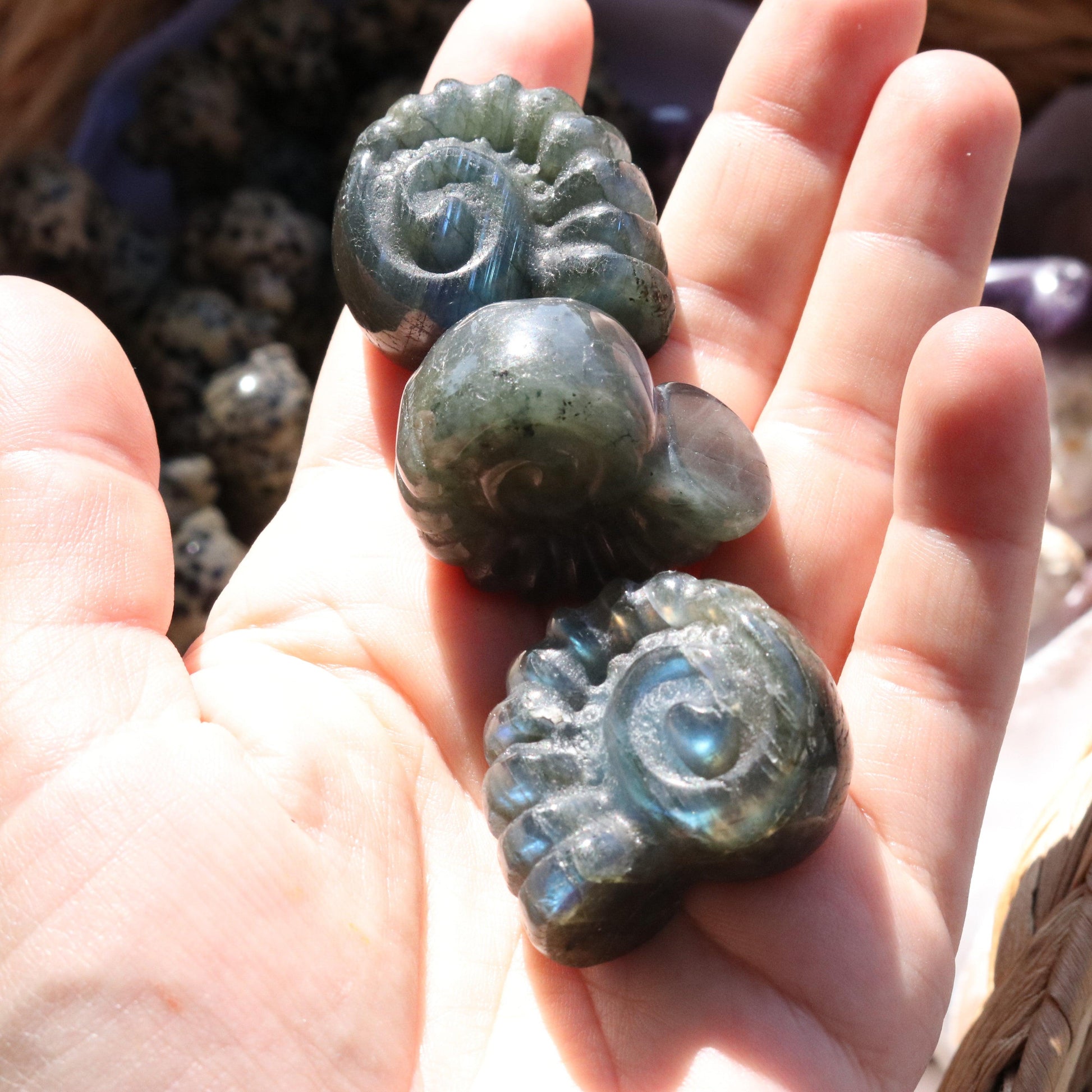Magical and Cute Flashy Labradorite Shell Carving - Earth Family Crystals
