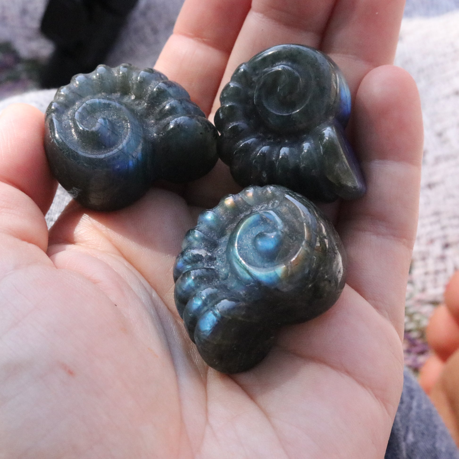 Magical and Cute Flashy Labradorite Shell Carving - Earth Family Crystals