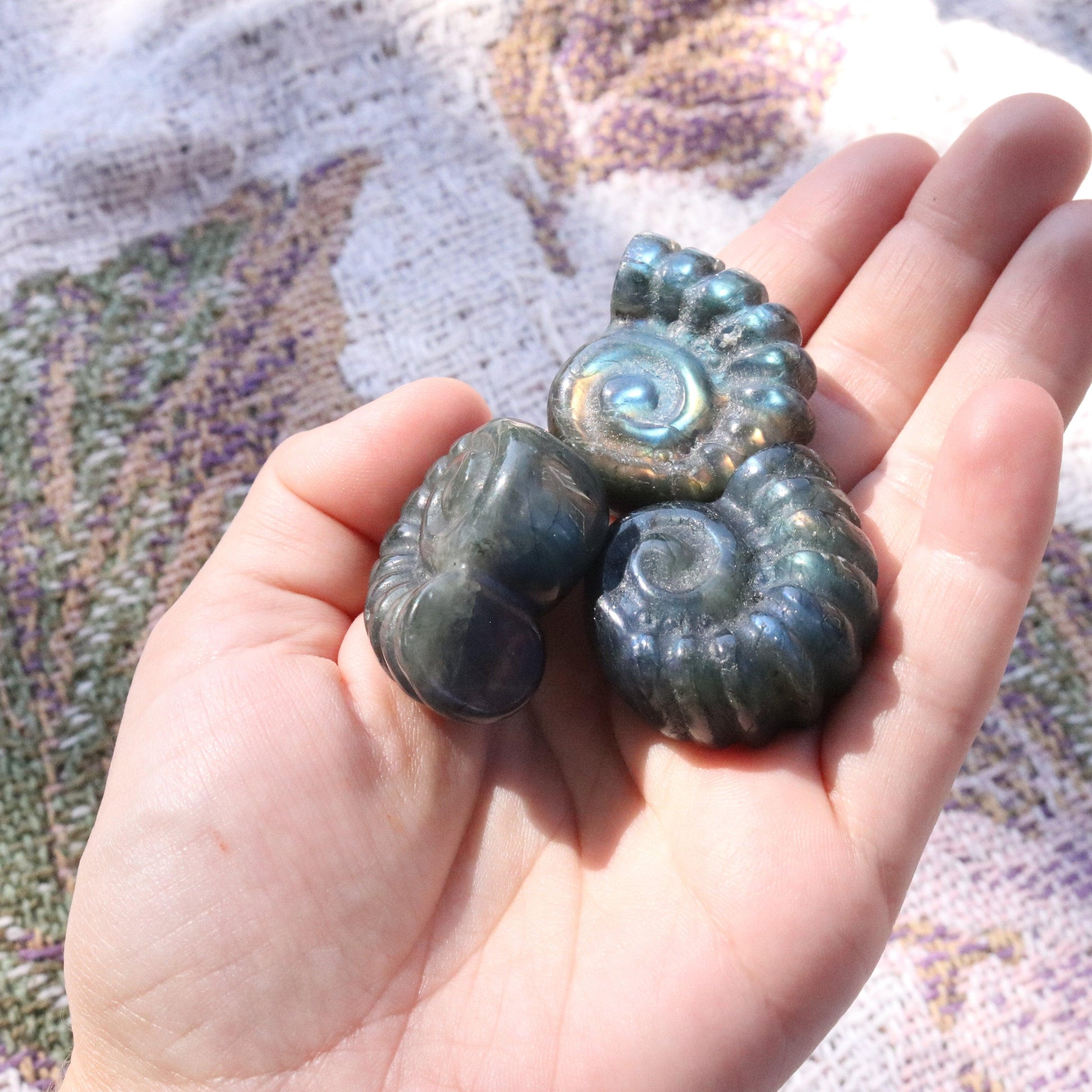 Magical and Cute Flashy Labradorite Shell Carving - Earth Family Crystals