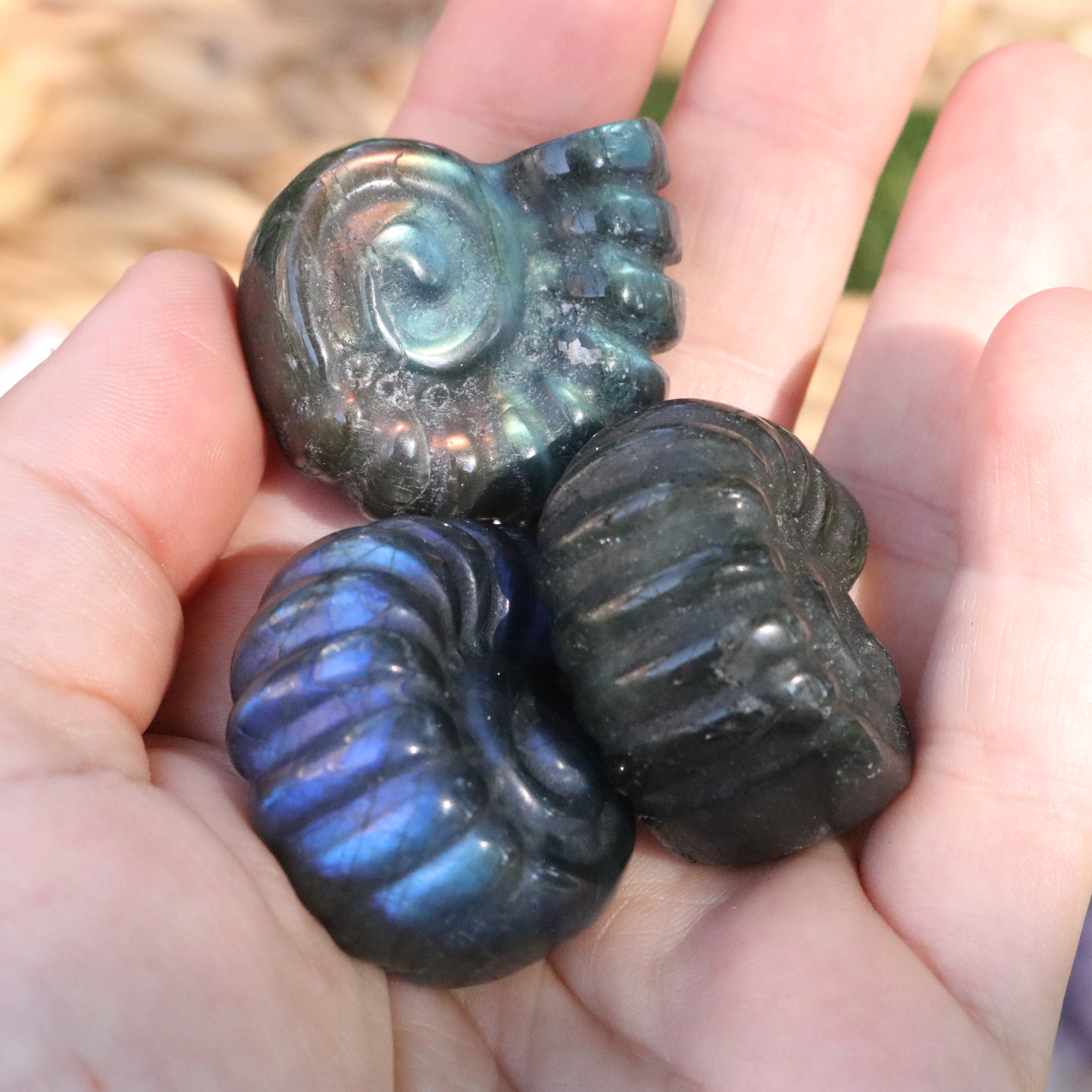 Magical and Cute Flashy Labradorite Shell Carving - Earth Family Crystals