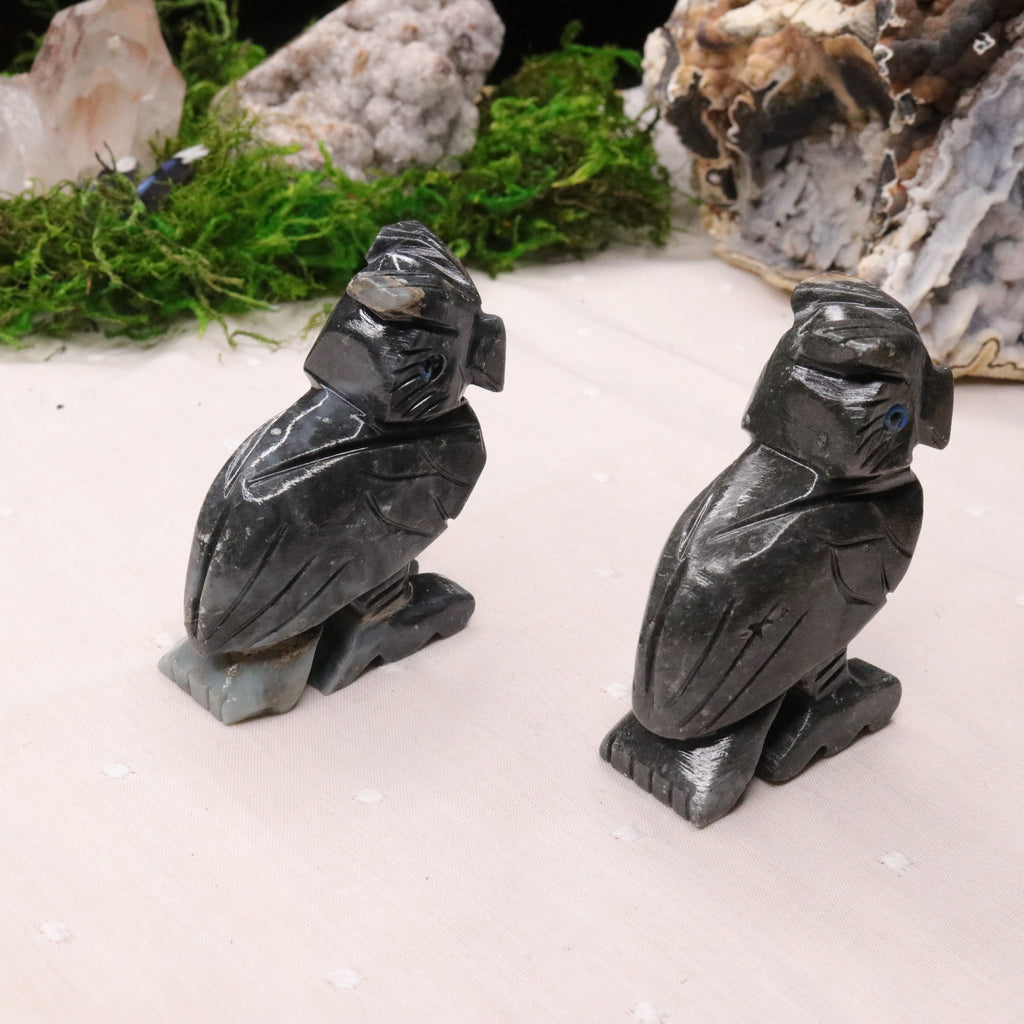 Soap Stone Owl Carving - Earth Family Crystals