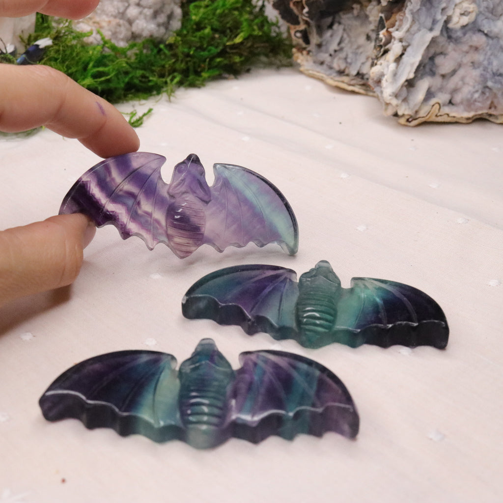 Rainbow Fluorite Bat Carvings ~ Vibrant Multicolor Banding - Earth Family Crystals