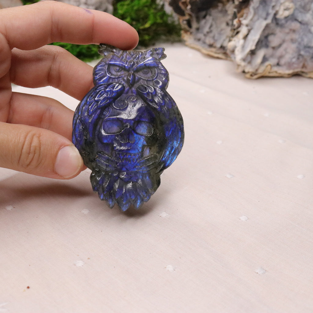 Flashy Blue Labradorite Owl and Skull Carving - Earth Family Crystals