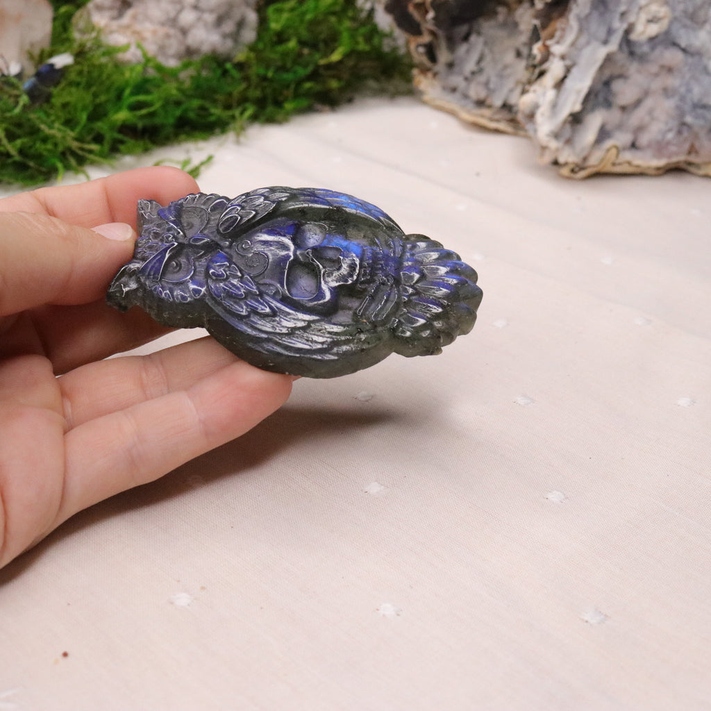 Flashy Blue Labradorite Owl and Skull Carving - Earth Family Crystals