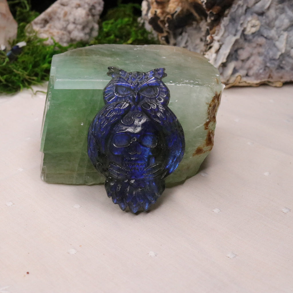 Flashy Blue Labradorite Owl and Skull Carving - Earth Family Crystals