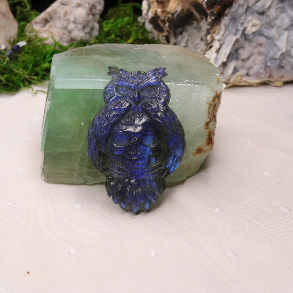 Flashy Blue Labradorite Owl and Skull Carving - Earth Family Crystals