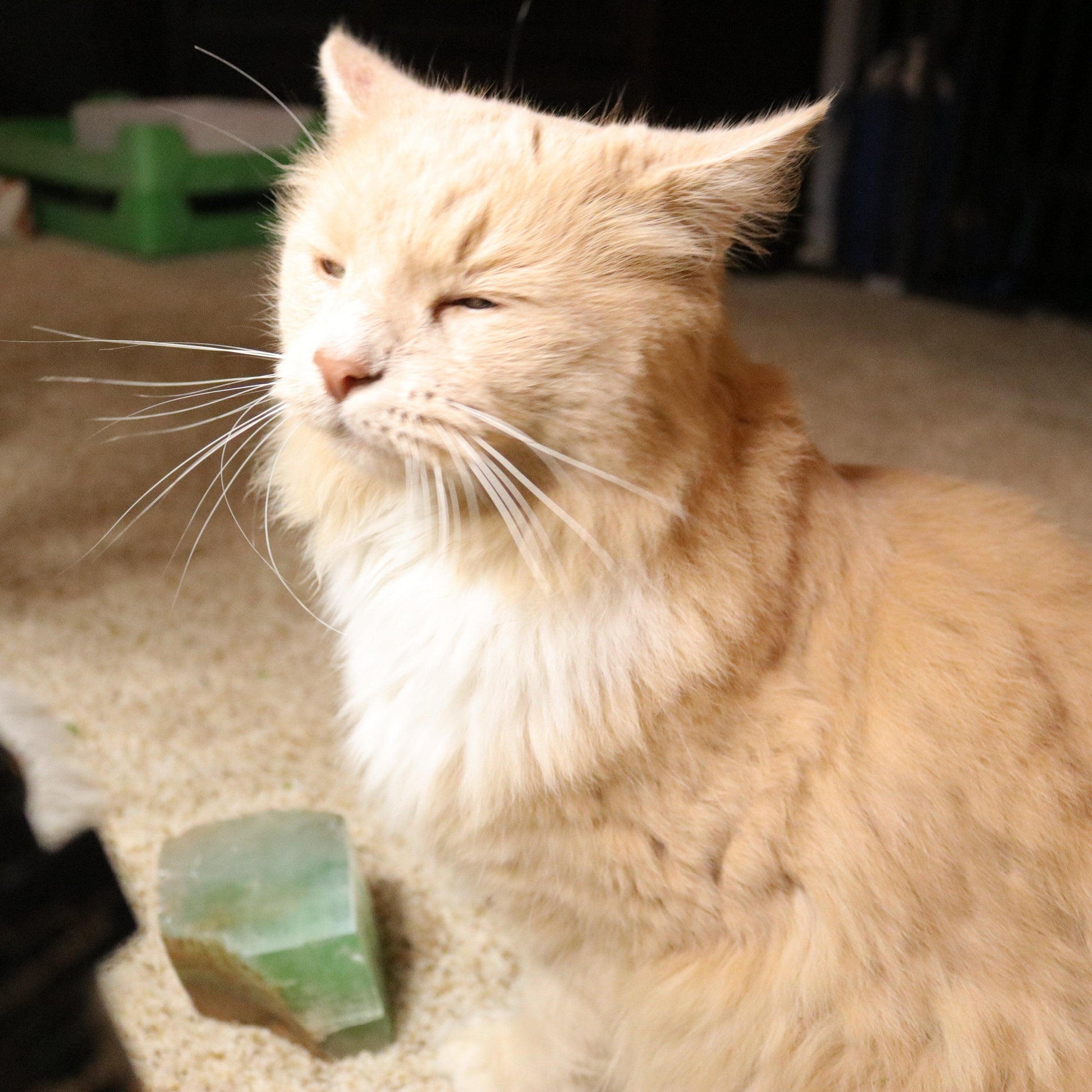 Soap Stone Cat Carving - Earth Family Crystals