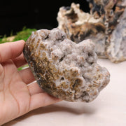 Sparkly Druzy Agate Partially Polished Freeform from Brazil - Earth Family Crystals