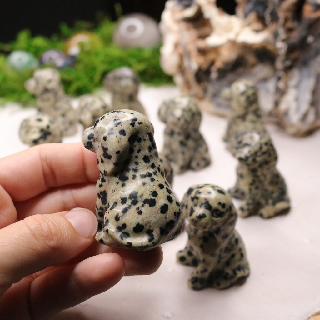 Dalmatian Jasper ~ Dalmatian Dog Carving ~ Companion Crystal for Playful Spirit - Earth Family Crystals