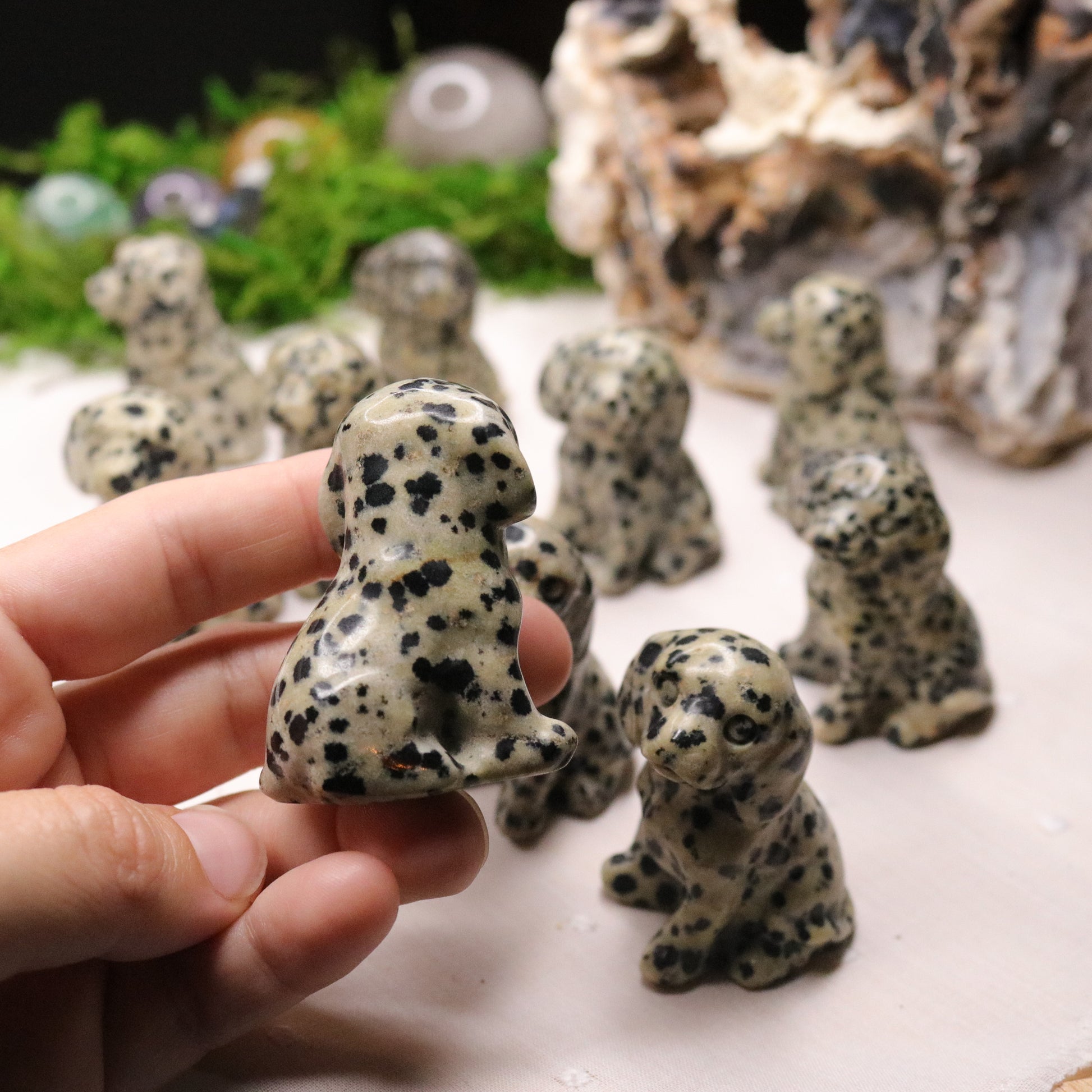 Dalmatian Jasper ~ Dalmatian Dog Carving ~ Companion Crystal for Playful Spirit - Earth Family Crystals
