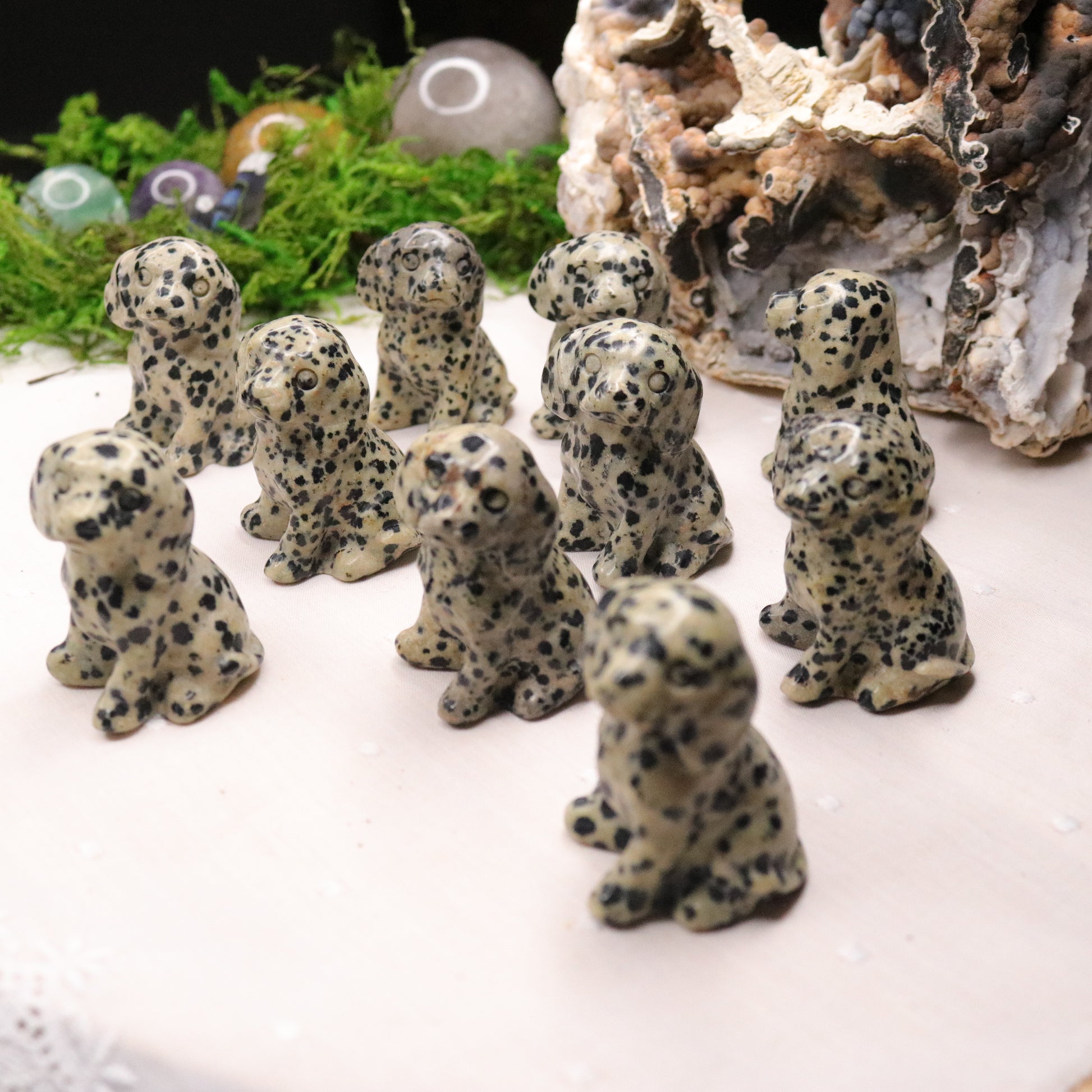 Dalmatian Jasper ~ Dalmatian Dog Carving ~ Companion Crystal for Playful Spirit - Earth Family Crystals