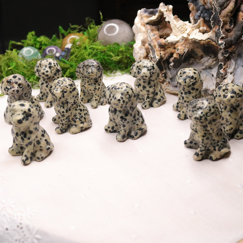 Dalmatian Jasper ~ Dalmatian Dog Carving ~ Companion Crystal for Playful Spirit - Earth Family Crystals