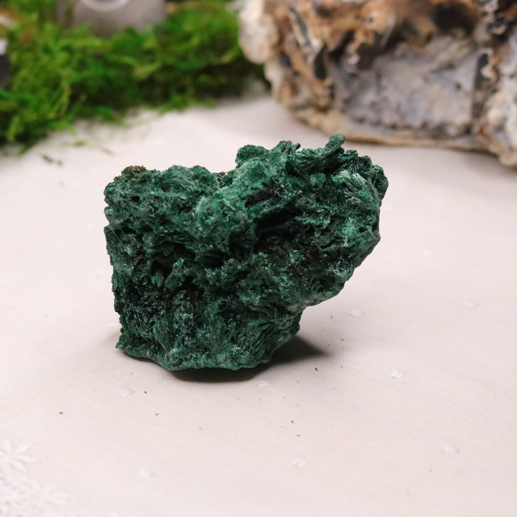 Fan Malachite Specimen ~ Fibrous Malachite ~ Uncommon Find - Earth Family Crystals