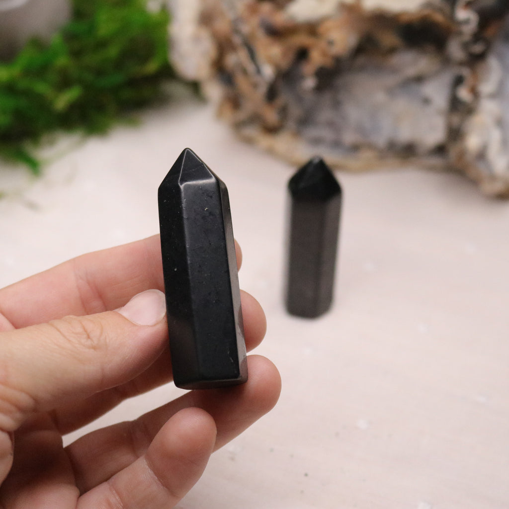 Polished Shungite Mini- Tower Point - Earth Family Crystals
