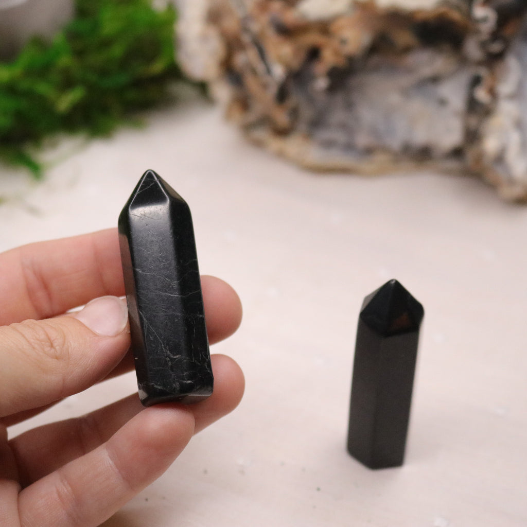 Polished Shungite Mini- Tower Point - Earth Family Crystals